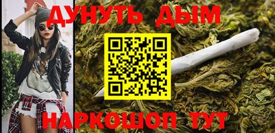 амф Гатчина