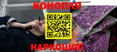 каннабис Гай