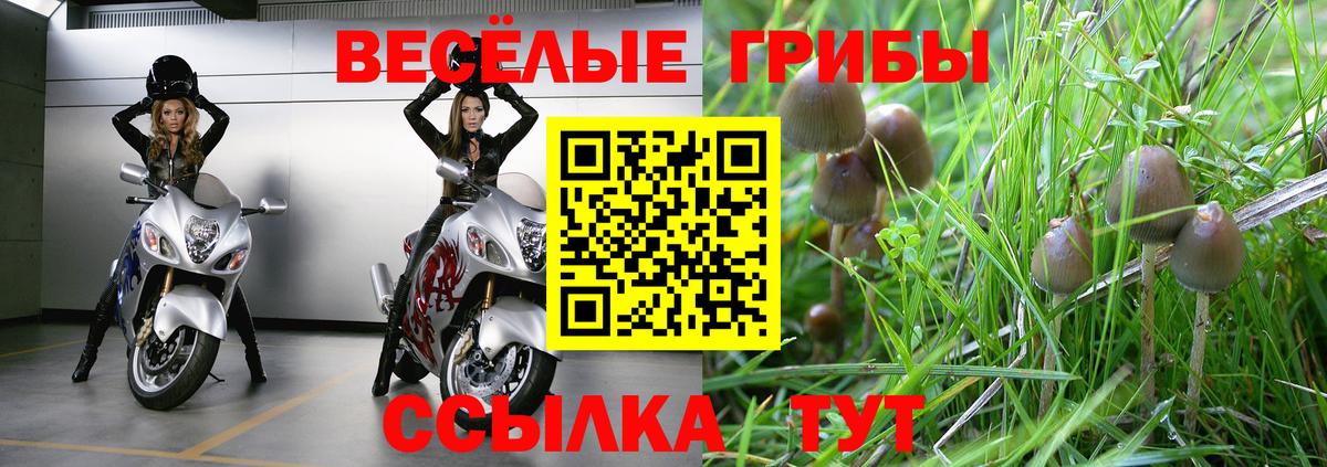 Галлюциногенные грибы Psilocybine cubensis  Вход с VPN  Всеволожск 